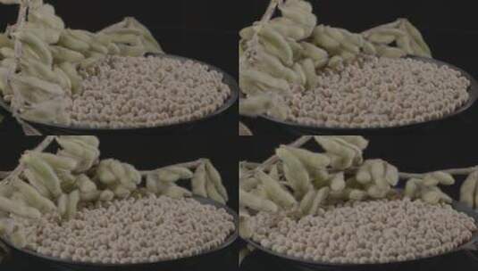 黄豆大豆豆荚豆子影棚LOG视频素材高清在线视频素材下载