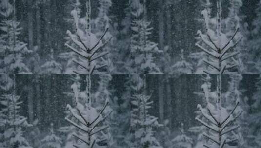 美丽的冬季景观和降雪高清在线视频素材下载