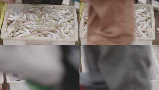 4kl1广东雷州海鲜海产鱼特写3高清在线视频素材下载