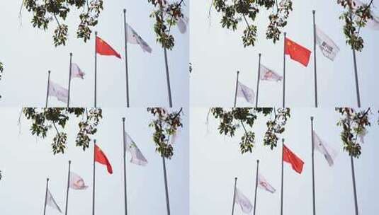 阿里巴巴和字节跳动旗帜高清在线视频素材下载