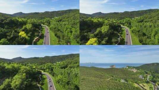 沿山公路 山路跟车航拍 景观道路高清在线视频素材下载