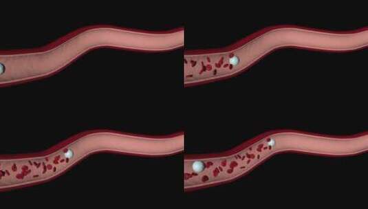 血管血液血小板医学3d动画视频高清在线视频素材下载