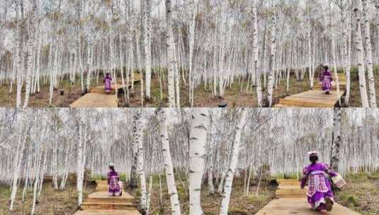 白桦林中一位蒙古族小女孩在栈道奔跑玩耍高清在线视频素材下载