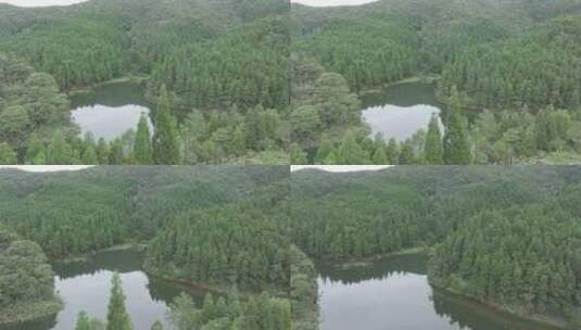 信宜大雾岭天池森林，高山湖高清在线视频素材下载
