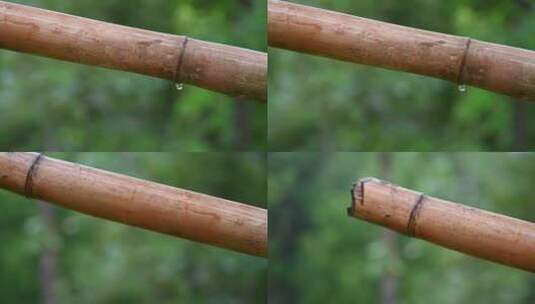 下雨天竹节上面的雨滴高清在线视频素材下载