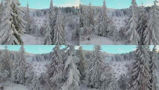 冬季森林大雪覆盖高清在线视频素材下载
