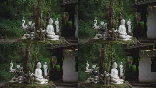 泰国清迈曼谷寺庙树林森林高山佛像高清在线视频素材下载