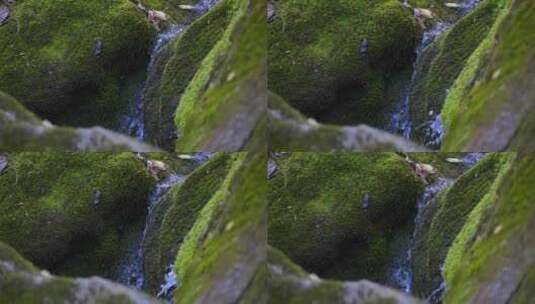 清澈的山涧溪水高速升格4K镜头高清在线视频素材下载