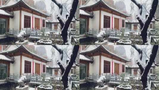 北京大雪下的古建筑竹叶雪花高清在线视频素材下载