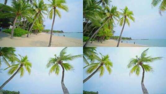 海边沙滩椰树高清在线视频素材下载
