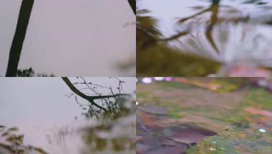 城市植物园公园小溪流水倒影特写风景大自然高清在线视频素材下载