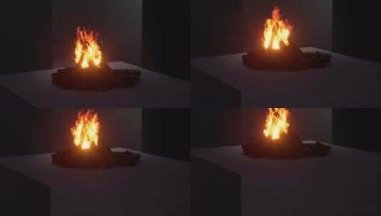 篝火 火堆 火 文明 生火 柴火 火高清在线视频素材下载
