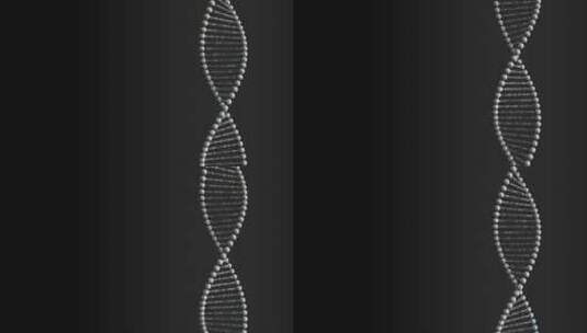 具有数字序列的旋转DNA分子模型高清在线视频素材下载