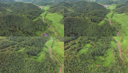 杭州西湖龙井茶园梅家坞清新茶山高清在线视频素材下载