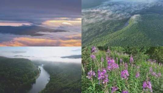 航拍朝霞日出森林云雾湿地山花合集726高清在线视频素材下载