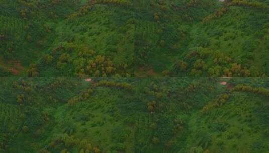 飞越森林山谷-生态航拍高清在线视频素材下载