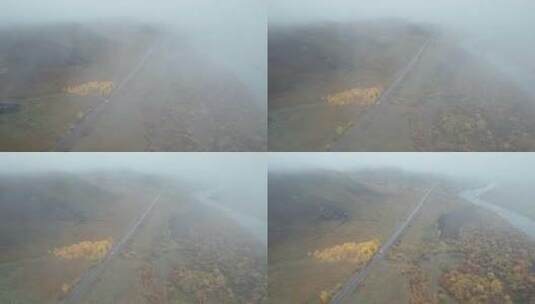 呼伦贝尔森林秋天林场白桦林公路航拍高清在线视频素材下载