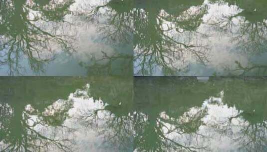 春天，苏州园林怡园，池塘天空与树枝的倒影高清在线视频素材下载