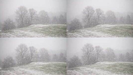 特写雾凇过后的森林大学覆盖白雪高清在线视频素材下载