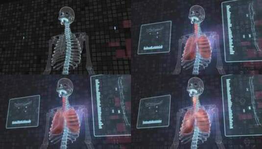 科技感人体骨骼、人体结构医疗研究高清在线视频素材下载
