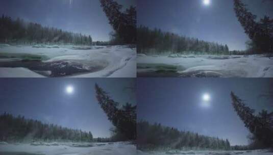 雪树林月光明亮高清在线视频素材下载