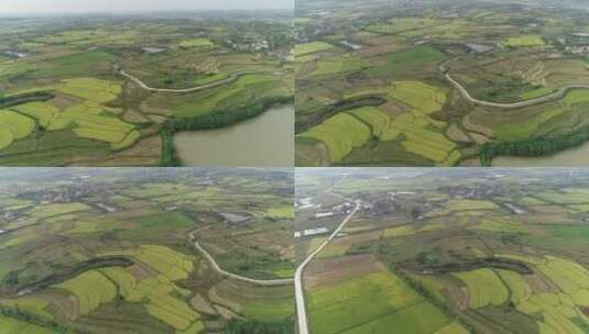 平原乡村稻田东北大米水稻航拍粮食种植基地高清在线视频素材下载