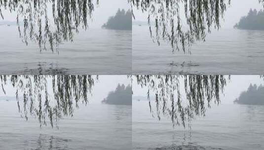 阴天西湖湖边高清在线视频素材下载