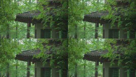 178 杭州 风景 古建筑 下雨天 亭子 树枝高清在线视频素材下载