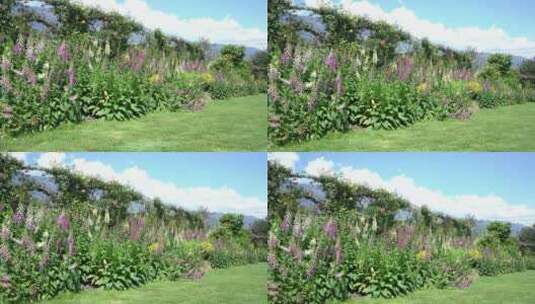 花园花房鲜花花卉特写高清在线视频素材下载