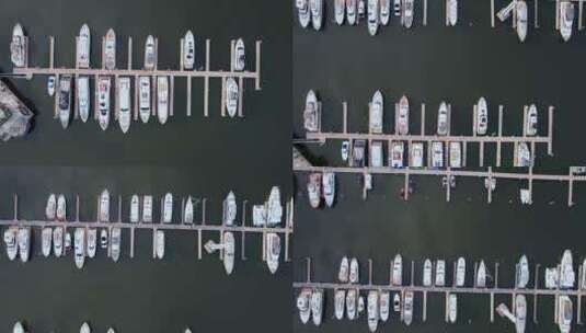 4k前推航拍深圳南山太子湾游艇高清在线视频素材下载