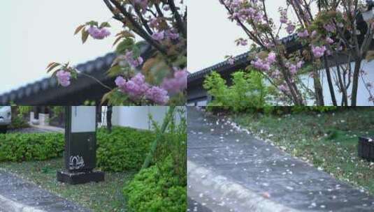 天台山国清寺禅院建筑视频高清在线视频素材下载