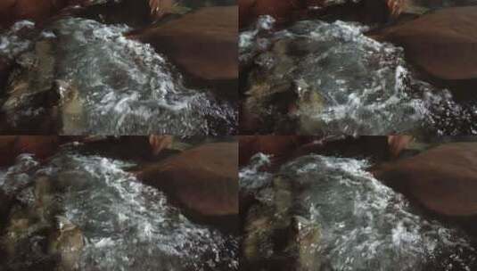 泉水农村小溪清澈的河水水流高清在线视频素材下载