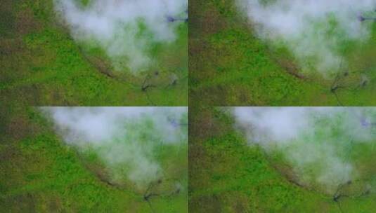 云雾中的草原森林高清在线视频素材下载