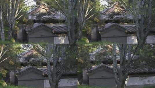 【4K.10bit.60帧】山中寺庙高清在线视频素材下载