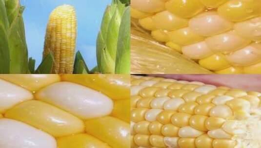 水果玉米高清在线视频素材下载