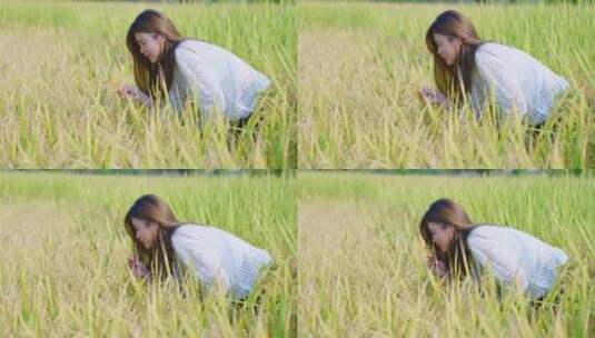 美少女抚摸水稻高清在线视频素材下载