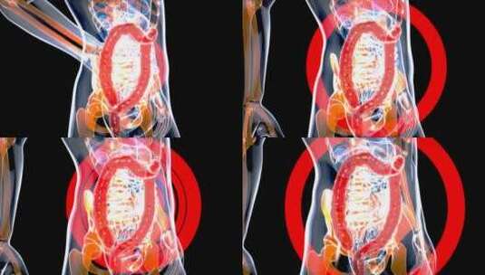 4k-3d人体消化器官内脏解剖概念高清在线视频素材下载