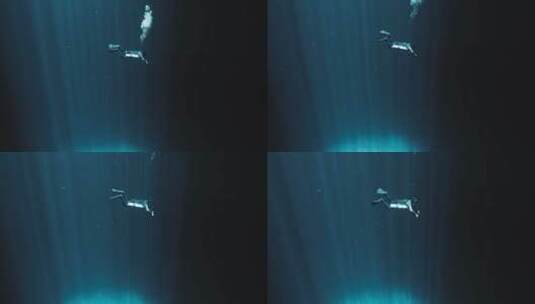 水下的潜水员高清在线视频素材下载