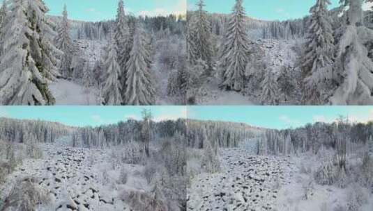 神农架 雪景 冰雪世界 雪松高清在线视频素材下载