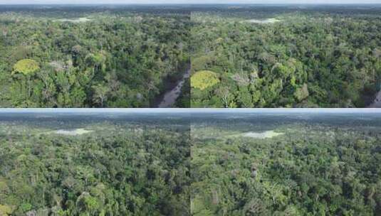 热带雨林的航拍视频高清在线视频素材下载
