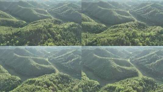 森林航拍山水树林自然风景大自然风光绿色山高清在线视频素材下载