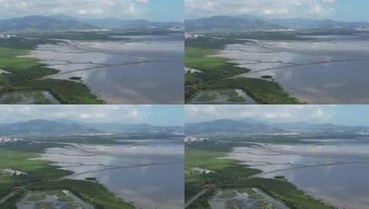 4K航拍深圳福田红树林湿地保护区高清在线视频素材下载