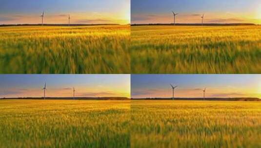 日落时的金色麦田和风力涡轮机高清在线视频素材下载