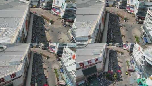 云南昆明斗南花市交易市场航拍高清在线视频素材下载