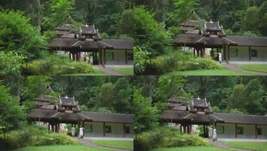 泰国清迈曼谷寺庙树林森林高山高清在线视频素材下载