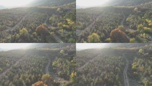 辽宁石洞沟森林公园秋季风光高清在线视频素材下载