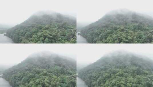 中国广州市从化区石门国家森林公园高清在线视频素材下载