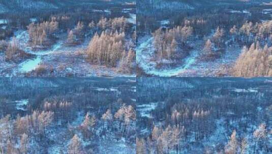 航拍冰雪覆盖的冻土森林湿地高清在线视频素材下载