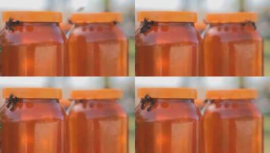 土蜂蜜瓶装蜂蜜农家土特产荔枝蜜高清在线视频素材下载
