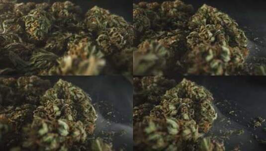 大麻芽在宏观法律医疗大麻吸烟杂草活动Ga高清在线视频素材下载